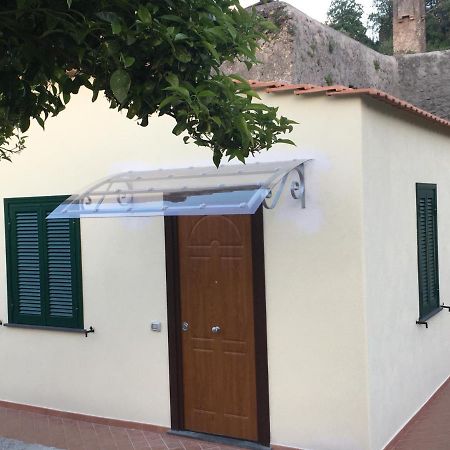 Appartement La Finestra Sul Giardino à Ischia Extérieur photo