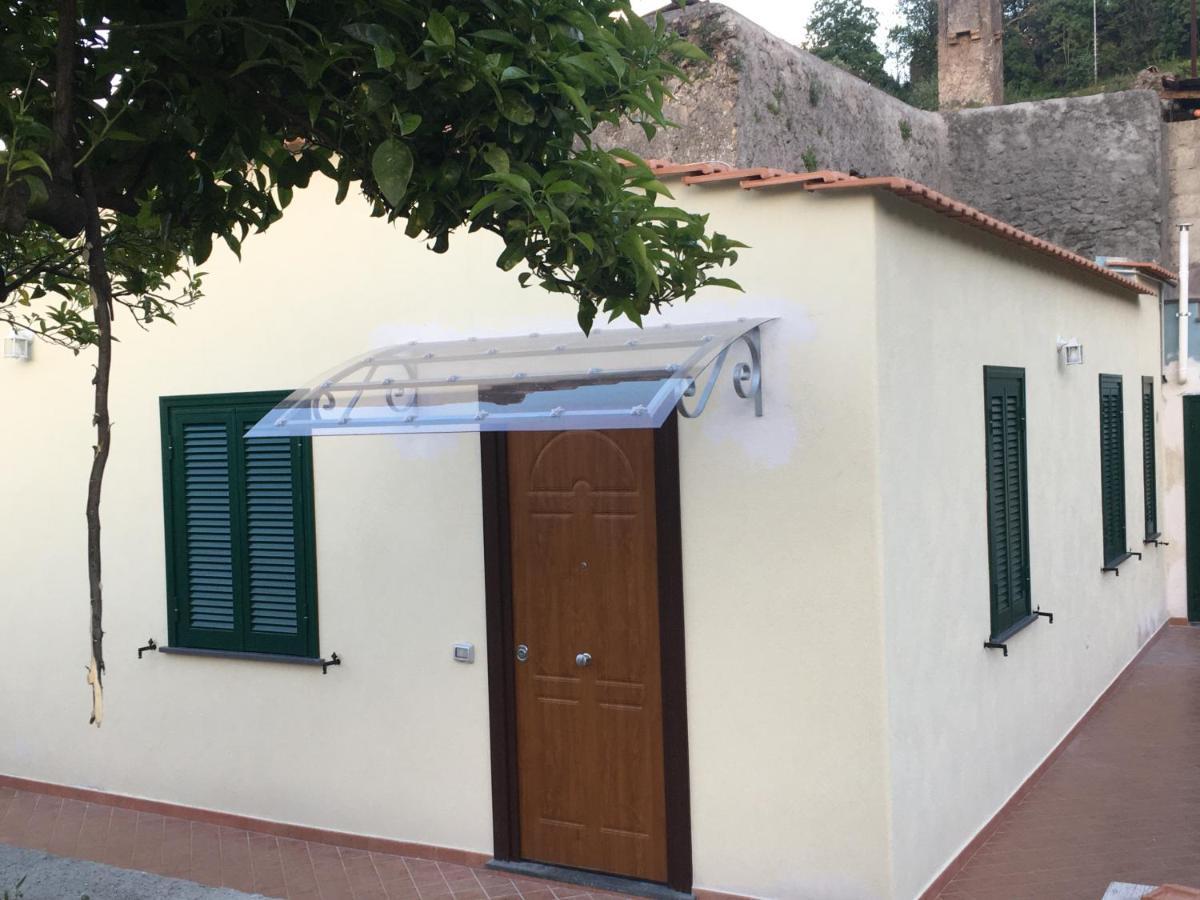 Appartement La Finestra Sul Giardino à Ischia Extérieur photo